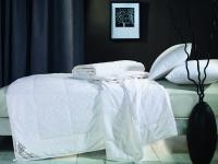 картинка шелковое одеяло asabella cs-2, размер 172х205 см от магазина asabella в #REGION_NAME_DECLINE_PP#