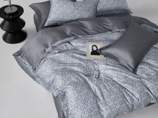 картинка комплект постельного белья 1,5-спальный, тенсел 2088-4s от магазина asabella в Москве